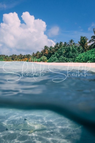 Sun Island Resort Maldives | Shadab Shaikh | Photography